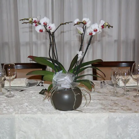 Ristorante Cicin 3*