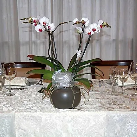 Hotel Ristorante Cicin